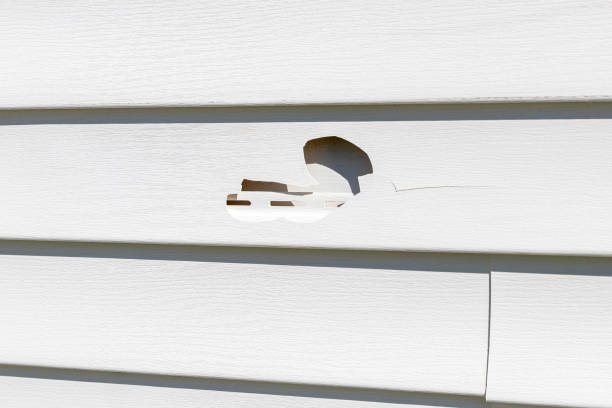 Siding Removal and Disposal in Tennille, GA