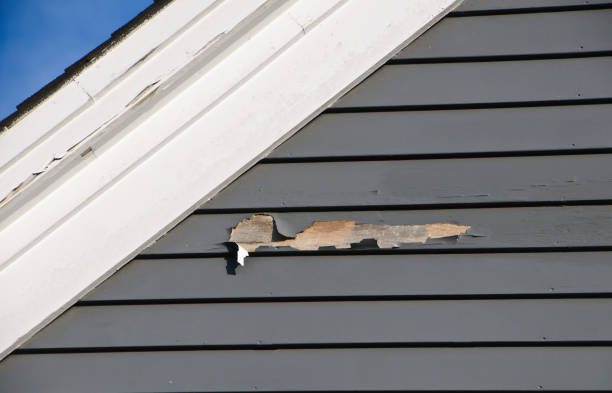Affordable siding repair and maintenance services in Tennille, GA